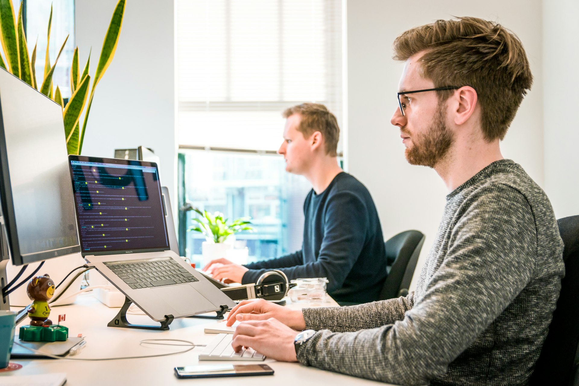 ALIBORA team collaborating